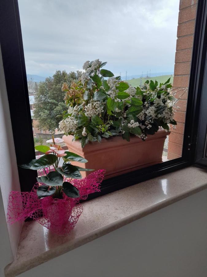 Un Passo Alla Volta Torrenieri Eksteriør billede